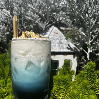 Dragonfly Latte